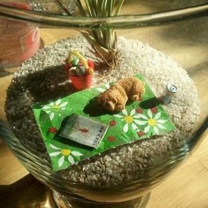 Meet your Posher, Diana